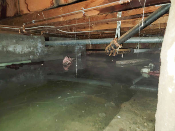 Best Local water damage restoration  in Central Falls, RI