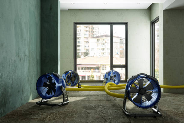 Water damage restoration experts in RI